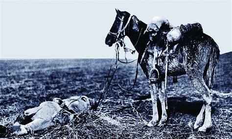 what happened to the horses at the end of ww1